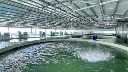 都安 生態循環‘小魚池’ 帶動增收‘大產業’