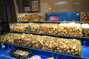 雙節臨近，物美價穩——水產品市場保量保質保安全