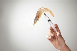 注膠水產品與日用品的安全隱憂與防范對策