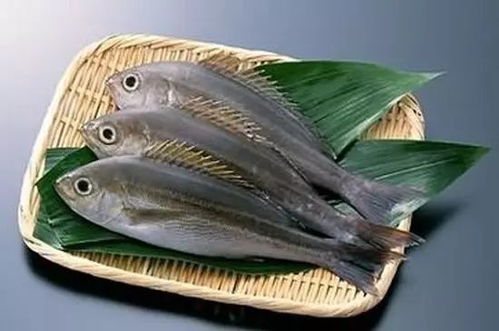 水產品與日用百貨 織密監管防護網，守護消費安全線