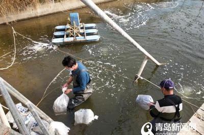 實拍臺東餐飲有序復工 堂食需登記，部分小吃恢復營業，日用百貨正常供應