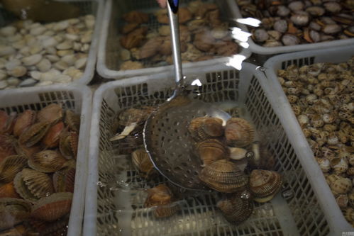 探訪北京海鮮市場 水產品的多元世界