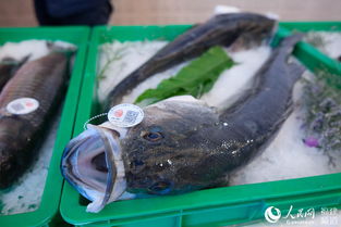 福建省水產品質量安全可碼上溯源，推動食品安全放心省創建再上新水平