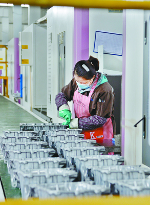 初級農產品 廣安農業的綠色基石