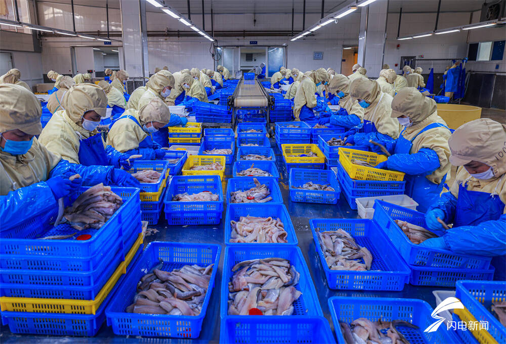 山東榮成 水產品出口加工產業蓬勃發展，初級農產品加值提升