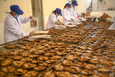 產業興 收入增 初級農產品發展的關鍵路徑