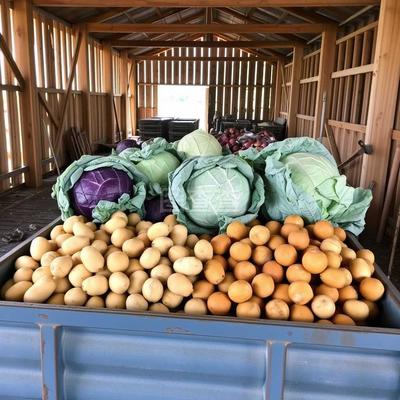 初級農產品 農業生產的基礎與經濟意義