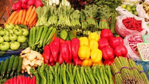 如何讓富農變真農 輕松種出高品質初級綠色農產品