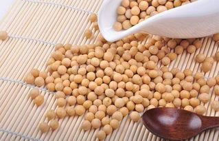 江蘇鎮江口岸進口大豆首破300萬噸 初級農產品輸入量創新高