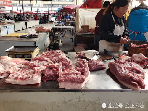 保山市隆陽區2019年12月中旬初級農產品市場價格基本穩定