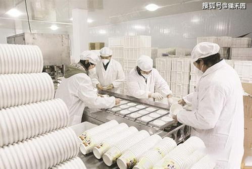 農產品進工廠 從滯銷到暢銷的轉型升級之路