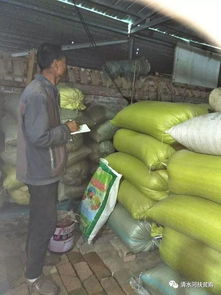 北堡鄉電子商務進農村 有機種植先鋒孫祿與初級農產品的破局之路