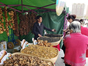 中俄150余家庭走進塞北延安 感受北安紅色文化魅力，體驗初級農產品的鄉土情