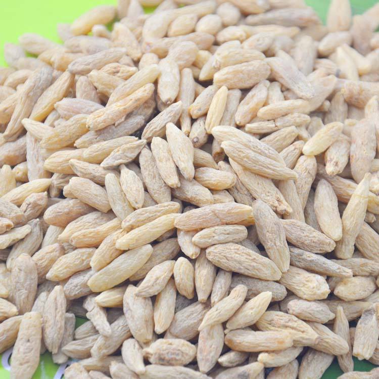 探秘道地藥材 湖北產麥冬（寸冬/麥門冬）