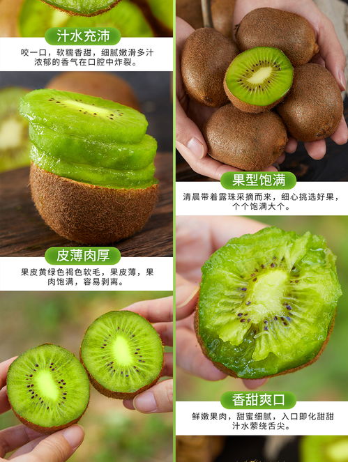 自然饋贈，營養寶藏——優質可商用初級農產品獼猴桃詳情頁