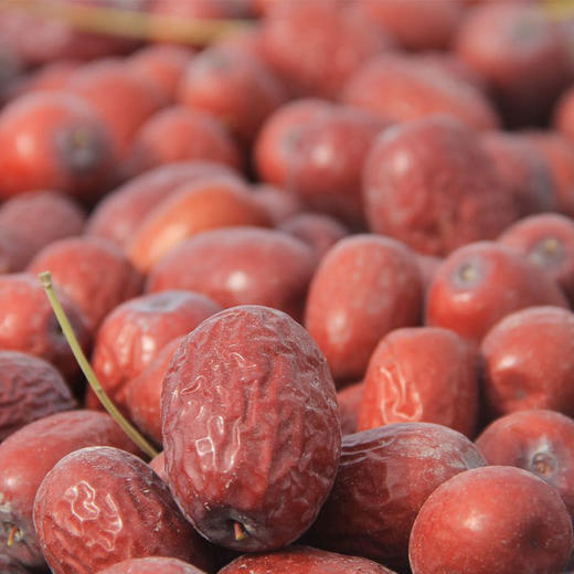 新疆樹上風干棗 自然風味的甜蜜饋贈，健康生活的理想伴侶